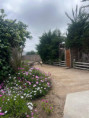 /album/areas-comunes/c2ecb8f9-a876-4622-969d-ff1b1c2c52c4-jpg/
