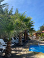 /album/zona-de-piscina/e6058fbd-b8fd-4d84-956a-5b0e619ef68d-jpg/